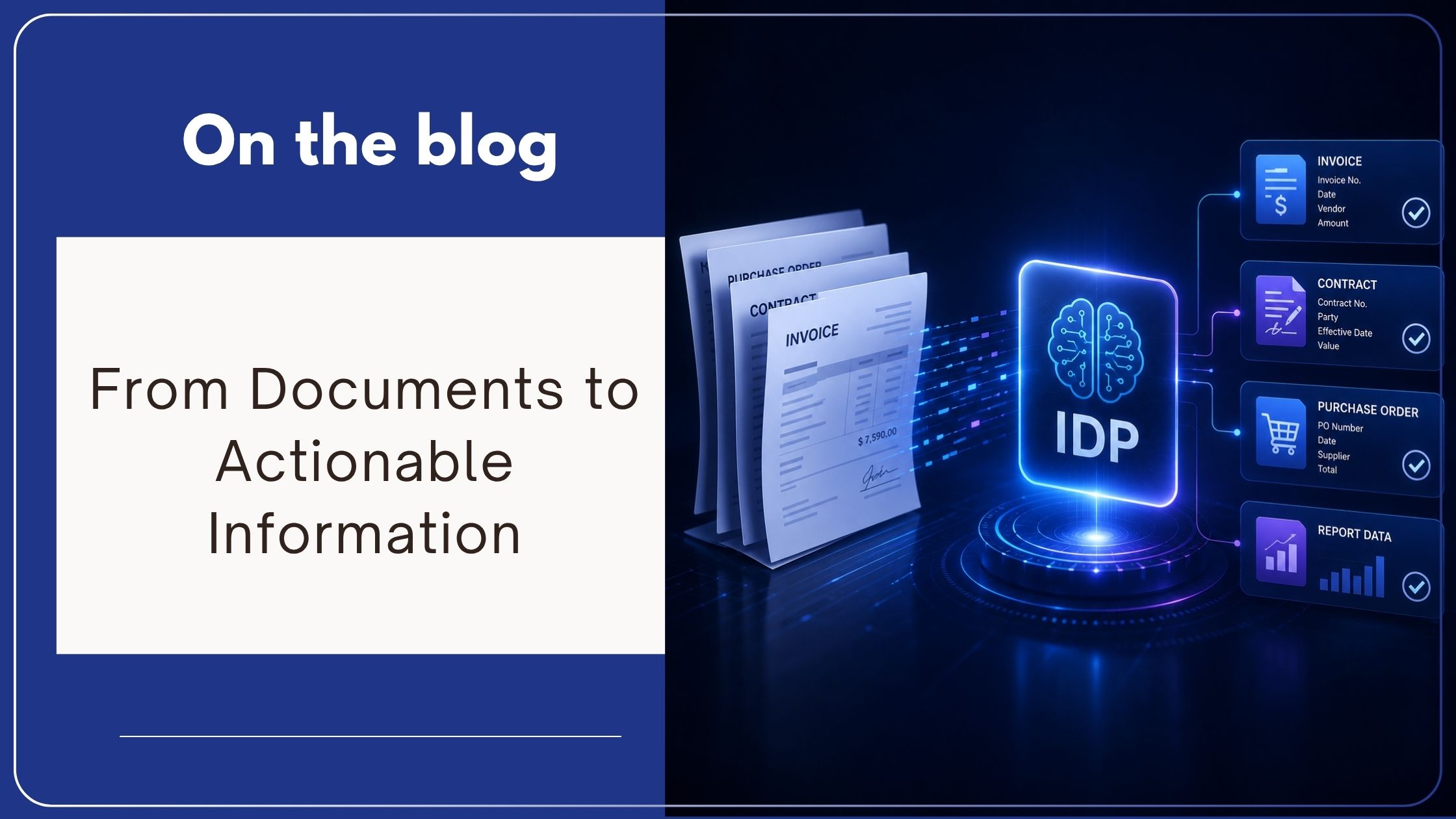 IDP Blog